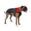 Dryrobe Dog Coat Black/Red